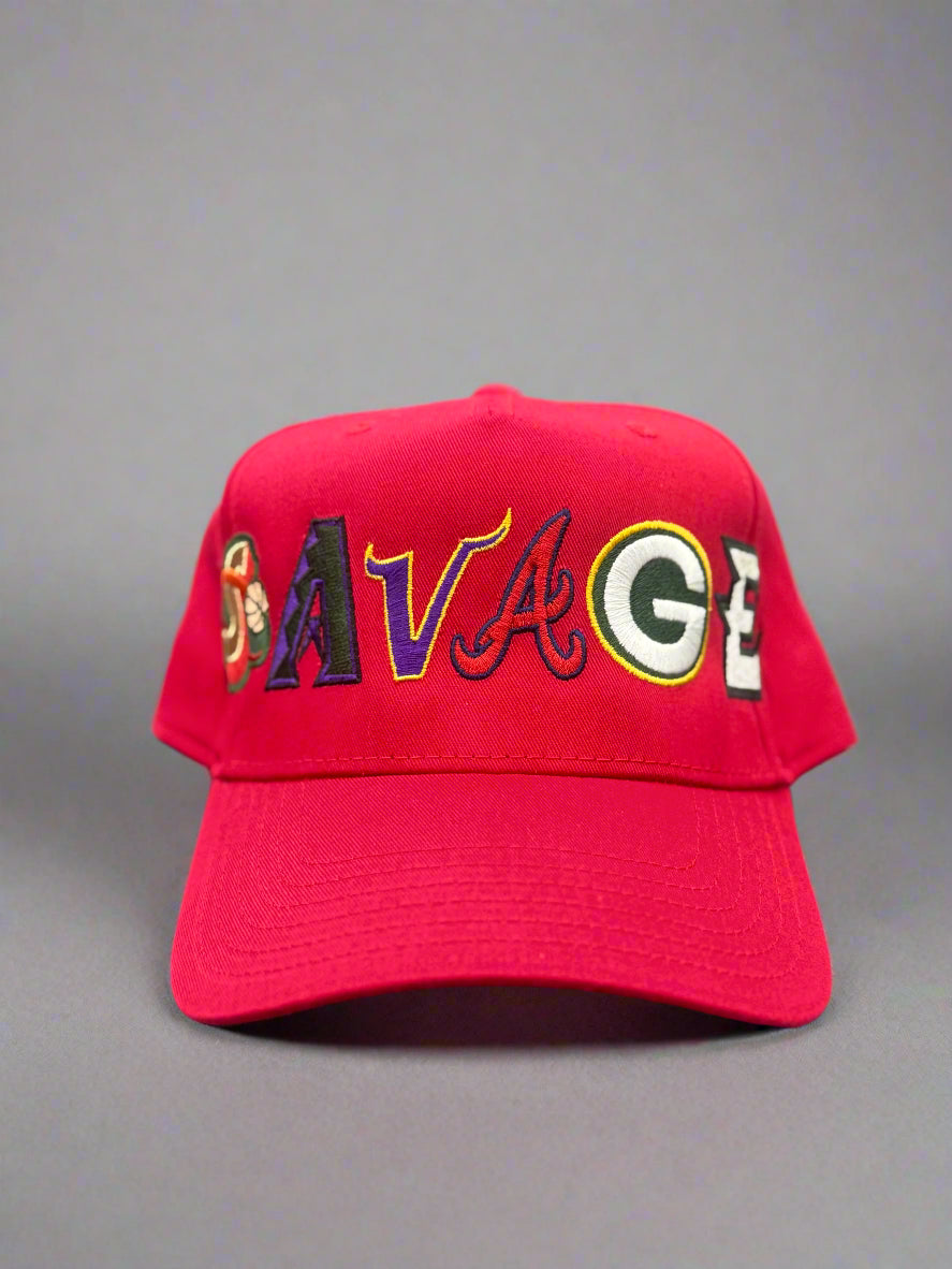 Variety Pack Hat