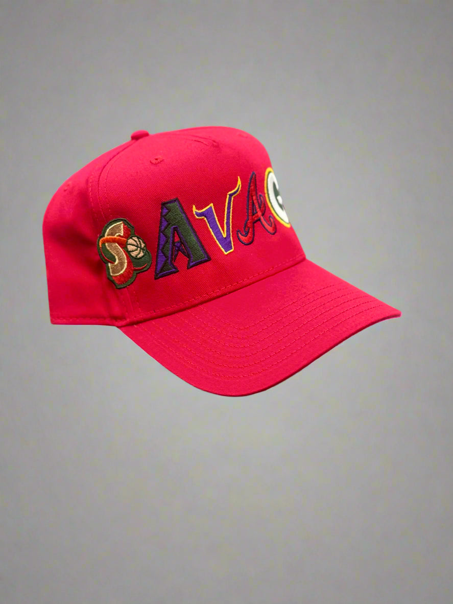 Variety Pack Hat